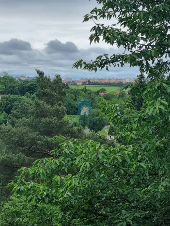 Prodej zahrady, Zdiby, Skopec, 527 m2