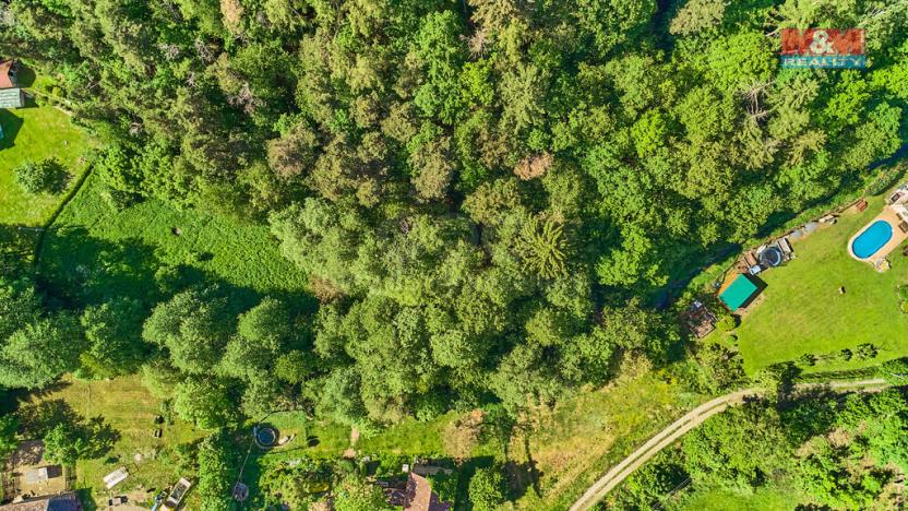 Prodej louky, Křečovice - Vlkonice, 3305 m2