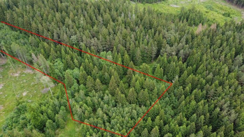 Prodej lesa, Kladno, 19588 m2