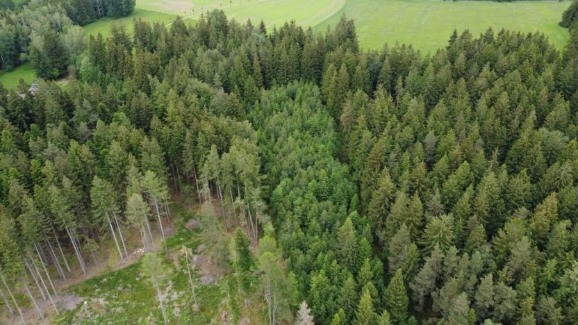 Prodej lesa, Kladno, 19588 m2