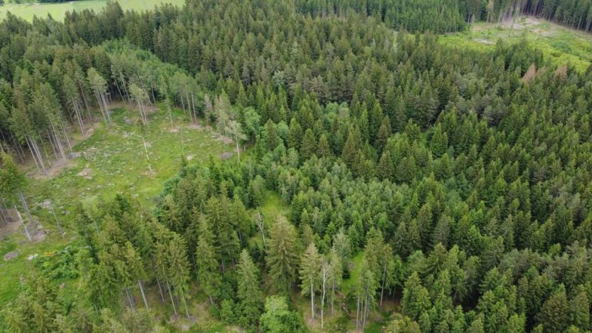 Prodej lesa, Kladno, 19588 m2