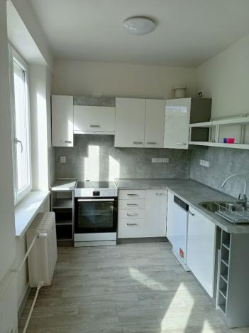 Pronájem bytu 2+kk, Plzeň - Východní Předměstí, Táborská, 55 m2