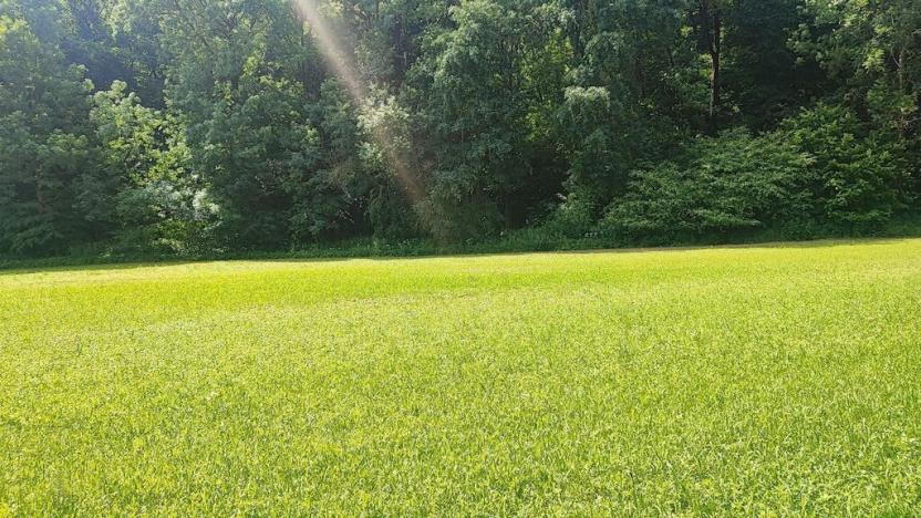 Prodej zahrady, Vyškov - Opatovice, 670 m2