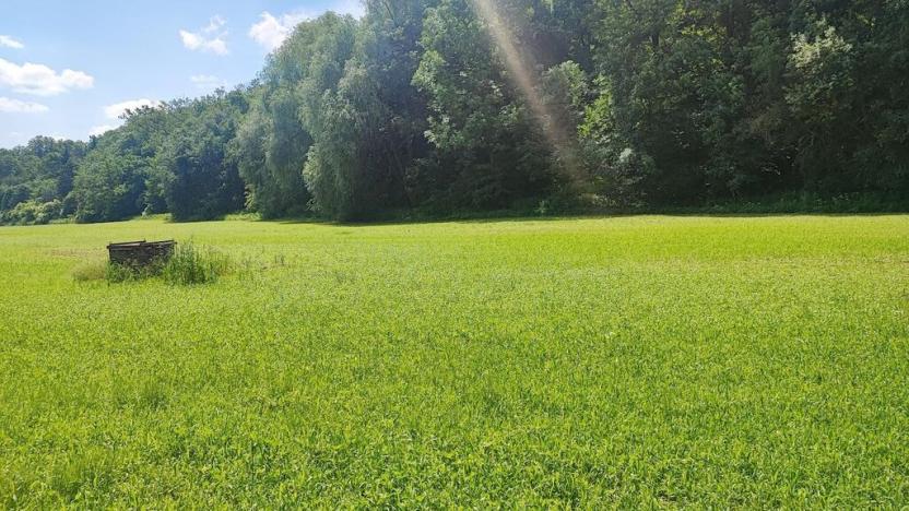 Prodej zahrady, Vyškov - Opatovice, 670 m2