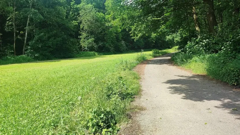 Prodej zahrady, Vyškov - Opatovice, 670 m2