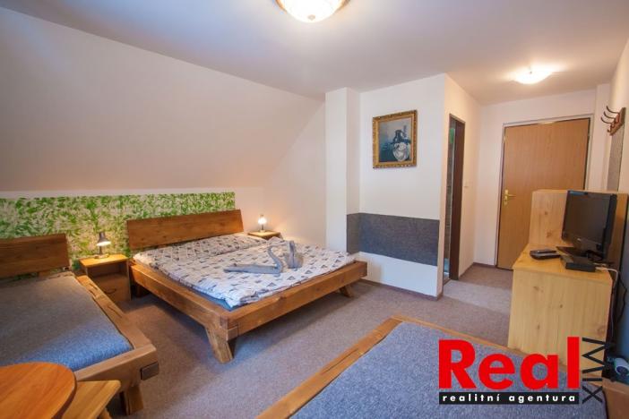 Prodej ubytování, Teplice nad Metují, 370 m2