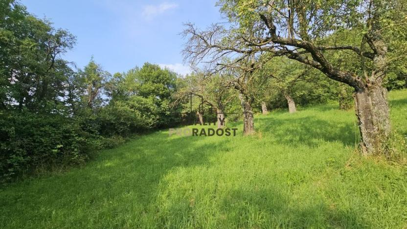 Prodej sadu/vinice, Koryčany, 4253 m2