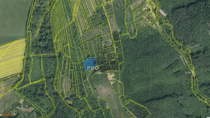 Prodej sadu/vinice, Koryčany, 4253 m2