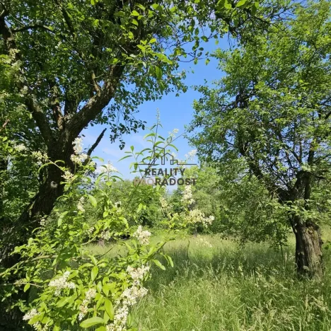 Prodej sadu/vinice, Koryčany, 4253 m2