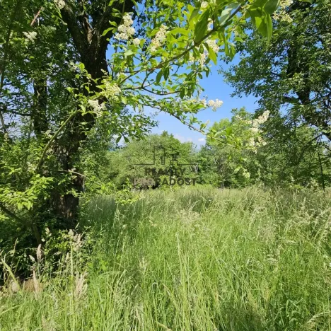 Prodej sadu/vinice, Koryčany, 4253 m2