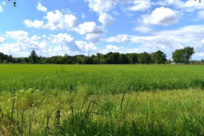 Prodej zemědělské půdy, Plzeň, Ke Slonům, 36521 m2