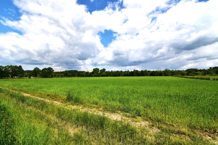 Prodej zemědělské půdy, Plzeň, Ke Slonům, 36521 m2