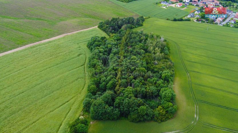 Prodej pole, Tuřany - Byseň, 27000 m2