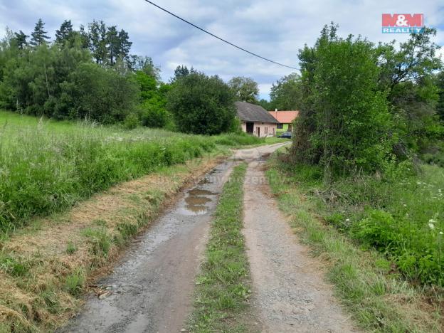 Prodej trvalého travního porostu, Oselce - Kotouň, 19732 m2