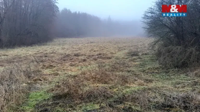 Prodej trvalého travního porostu, Oselce - Kotouň, 19732 m2