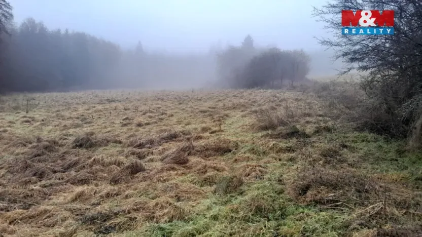 Prodej trvalého travního porostu, Oselce - Kotouň, 19732 m2