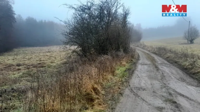 Prodej trvalého travního porostu, Oselce - Kotouň, 19732 m2