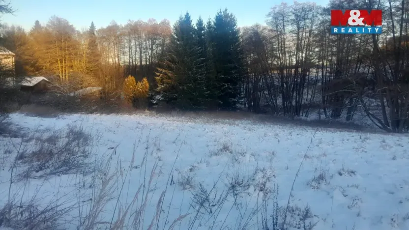 Prodej trvalého travního porostu, Oselce - Kotouň, 19732 m2
