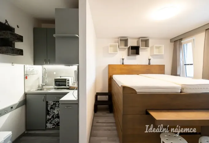 Pronájem bytu 1+kk, Praha - Vinohrady, Moravská, 27 m2