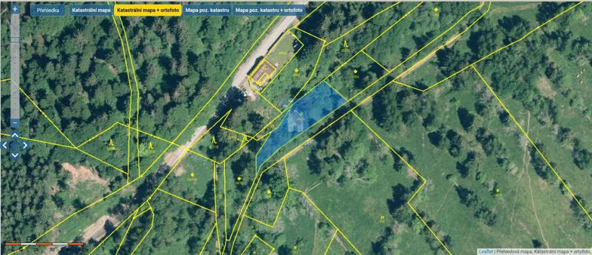 Prodej trvalého travního porostu, Lenora, 3129 m2