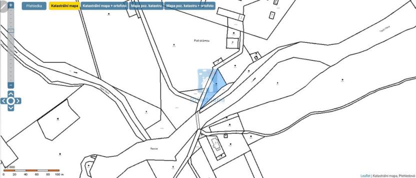 Prodej trvalého travního porostu, Lenora, 3129 m2