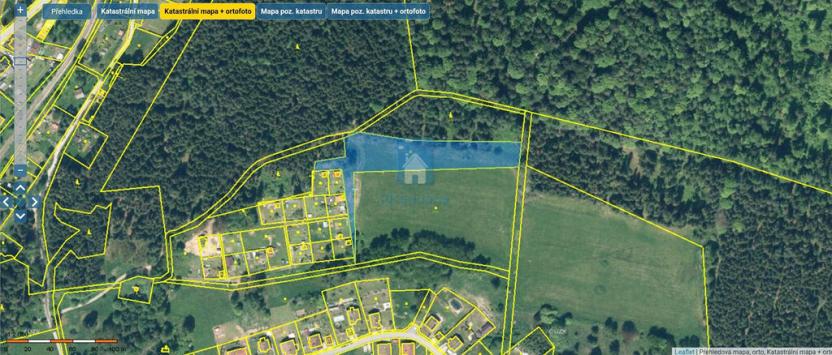 Prodej trvalého travního porostu, Lenora, 3129 m2