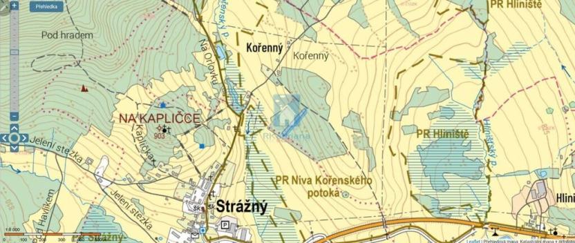 Prodej trvalého travního porostu, Strážný - Hliniště, 5547 m2