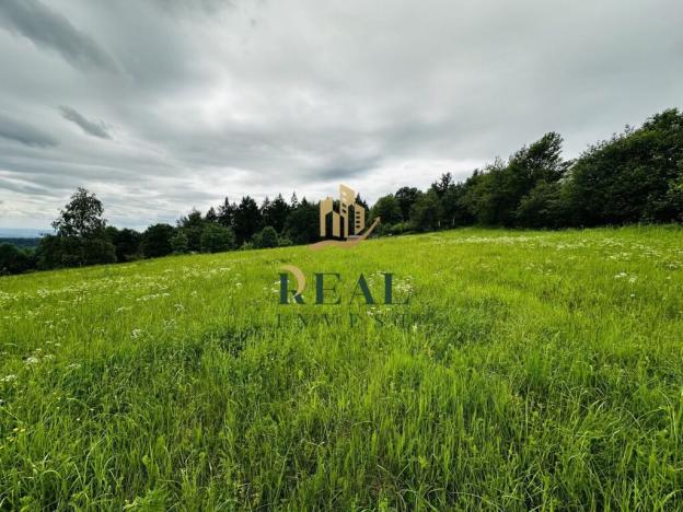 Prodej louky, Blatno, 14803 m2