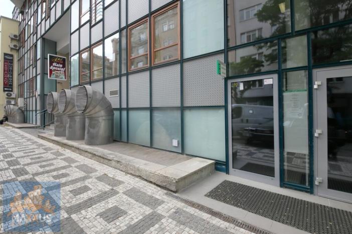 Pronájem obchodního prostoru, Praha - Vinohrady, Chrudimská, 242 m2