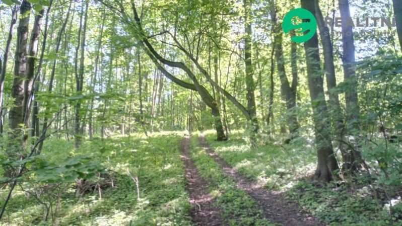 Prodej lesa, Ženklava, 15096 m2