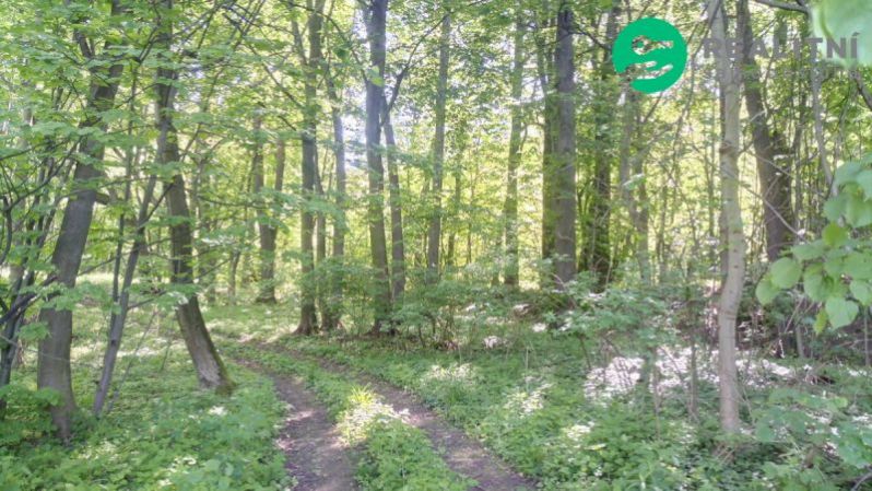 Prodej lesa, Ženklava, 15096 m2