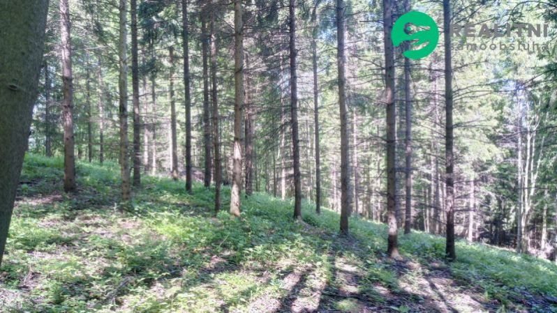 Prodej lesa, Ženklava, 15096 m2