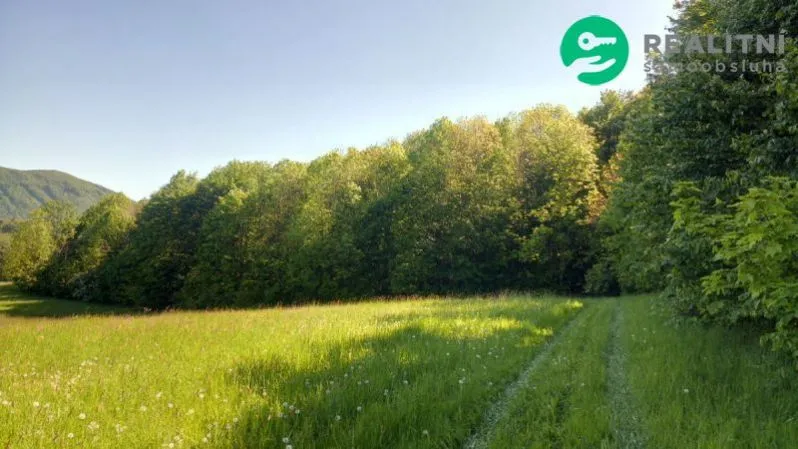 Prodej lesa, Ženklava, 15096 m2