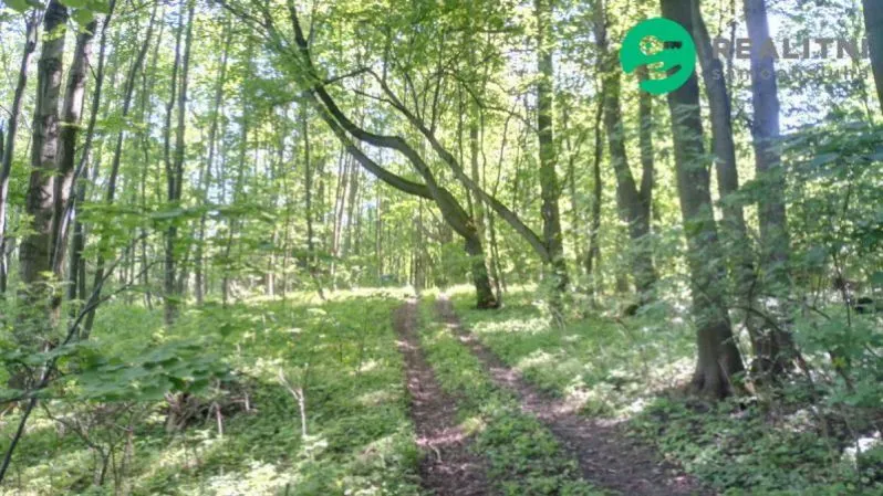 Prodej lesa, Ženklava, 15096 m2