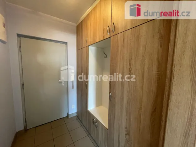 Pronájem bytu 1+kk, Opava - Předměstí, Oblouková, 25 m2