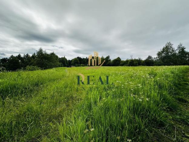 Prodej louky, Blatno, 6594 m2