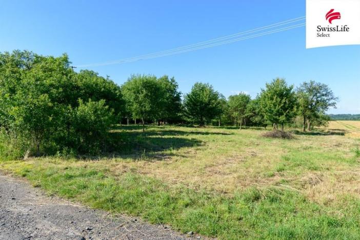 Prodej zahrady, Slezské Rudoltice - Koberno, 1690 m2