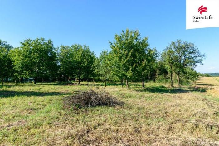 Prodej zahrady, Slezské Rudoltice - Koberno, 1690 m2