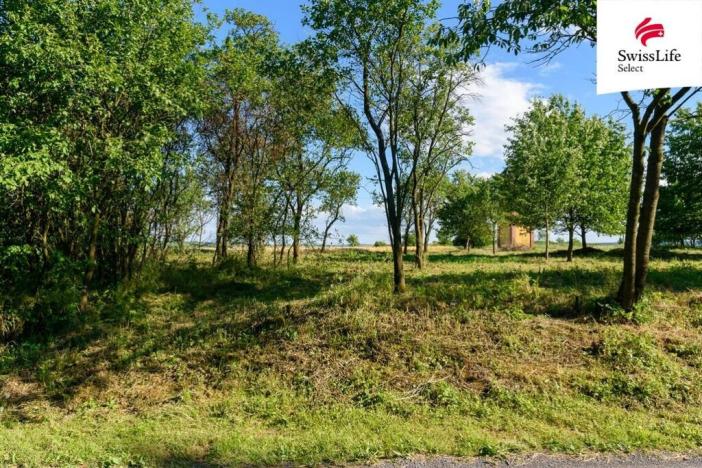 Prodej zahrady, Slezské Rudoltice - Koberno, 1690 m2