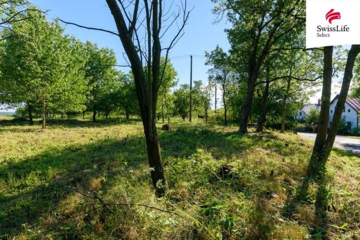 Prodej zahrady, Slezské Rudoltice - Koberno, 1690 m2