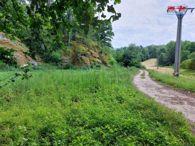 Prodej louky, Vysoká, 1003 m2