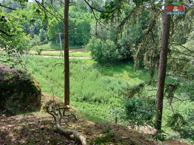 Prodej louky, Vysoká, 1003 m2