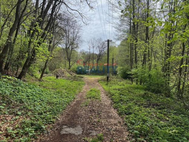 Prodej pozemku pro komerční výstavbu, Nové Hrady - Údolí, 2759 m2