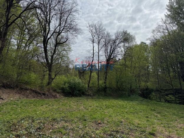 Prodej pozemku pro komerční výstavbu, Nové Hrady - Údolí, 2759 m2