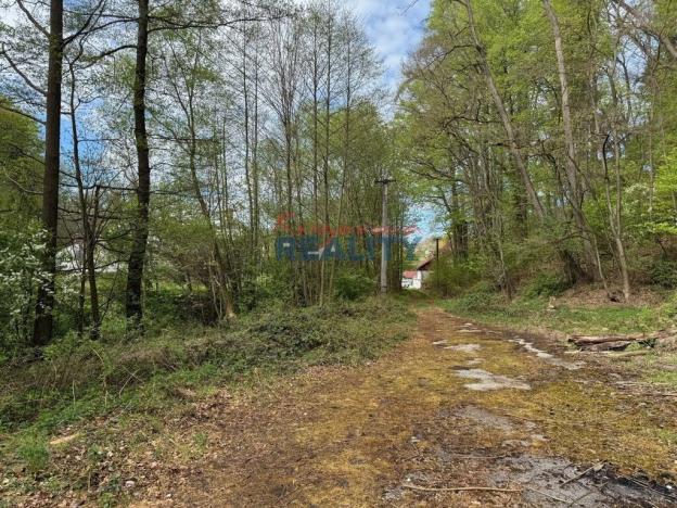 Prodej pozemku pro komerční výstavbu, Nové Hrady - Údolí, 2759 m2