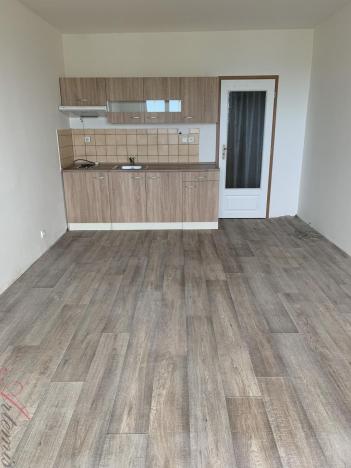 Prodej bytu 1+kk, Havířov - Šumbark, Lidická, 30 m2