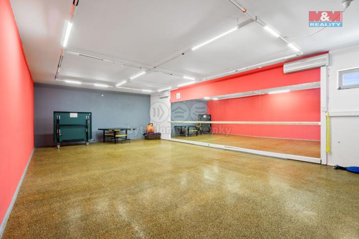 Prodej obchodního prostoru, Ústí nad Labem - Střekov, Truhlářova, 3086 m2