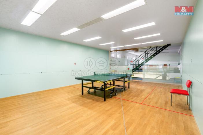 Prodej obchodního prostoru, Ústí nad Labem - Střekov, Truhlářova, 3086 m2