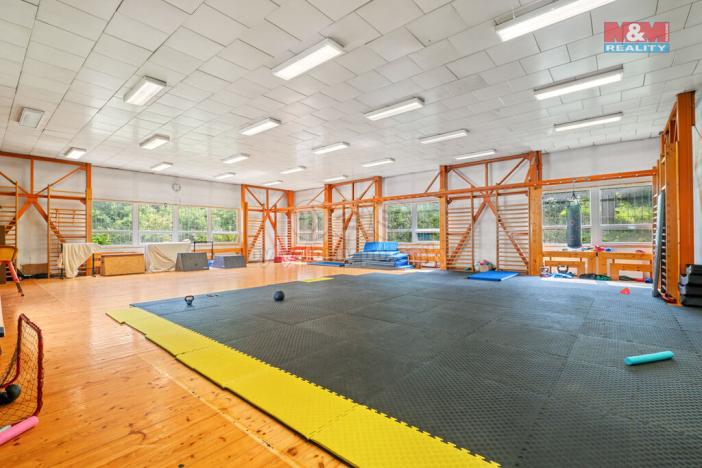 Prodej obchodního prostoru, Ústí nad Labem - Střekov, Truhlářova, 3086 m2