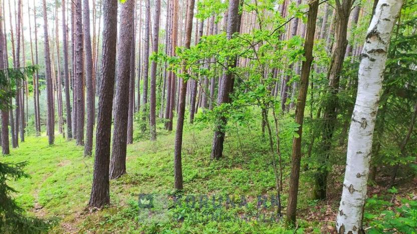 Prodej rodinného domu, Velešín, U Přehrady, 153 m2